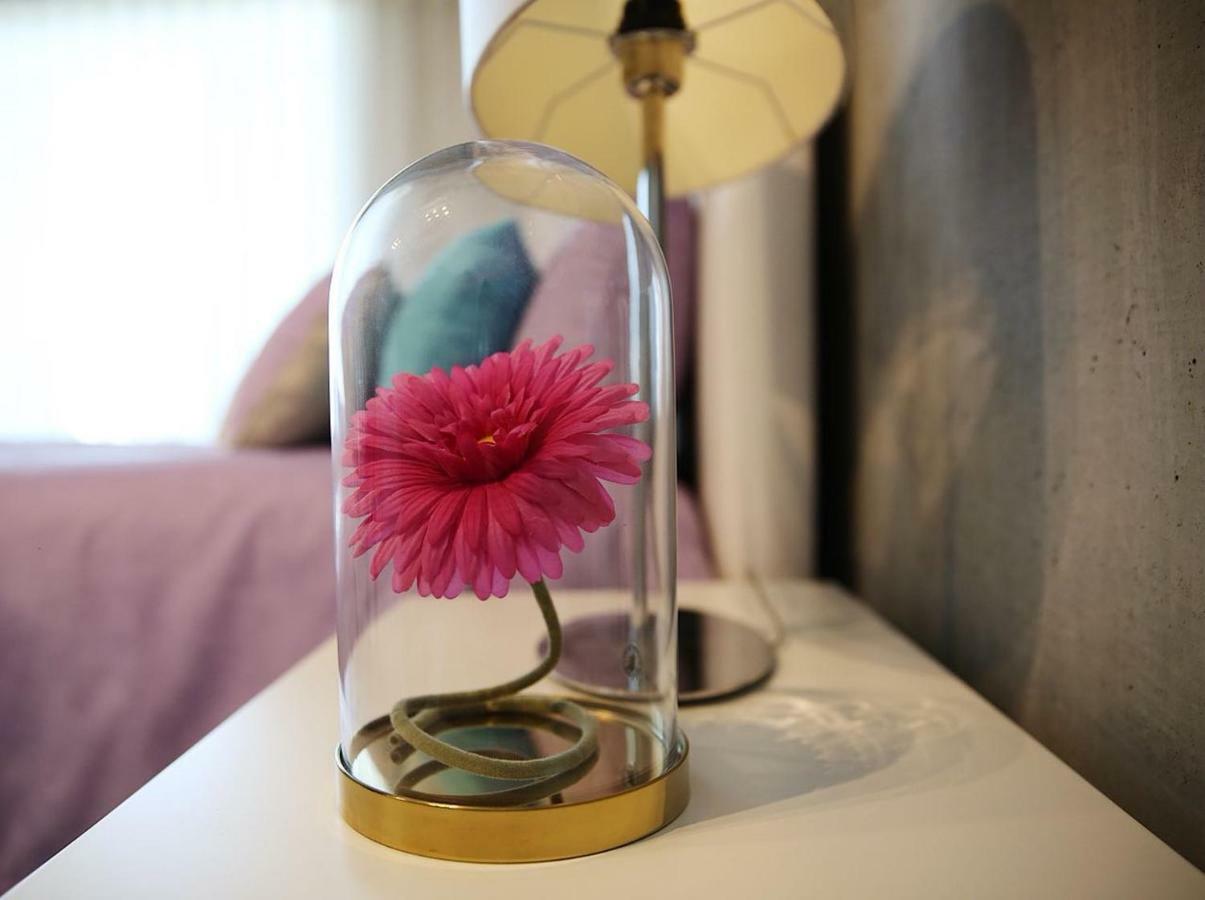 Family Studio Aveiro Apartment ภายนอก รูปภาพ